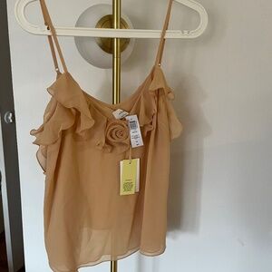 Aritzia peach rose ruffle top